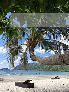 房贷逾期7个月后一次性还清 房贷逾期7个月后一次性还清