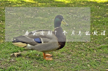 房贷逾期7个月怎么处理 房贷逾期7个月怎么处理