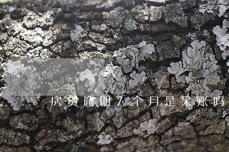 房贷逾期7个月是呆账吗