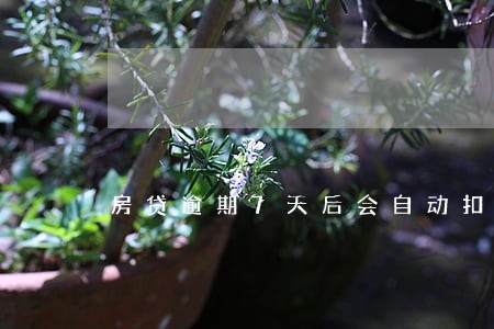 房贷逾期7天后会自动扣款 房贷逾期7天后会自动扣款