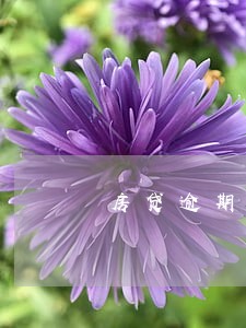 房贷逾期7年没还违约金多少