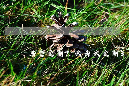 房贷逾期7次每次逾期3天 房贷逾期7次每次逾期3天