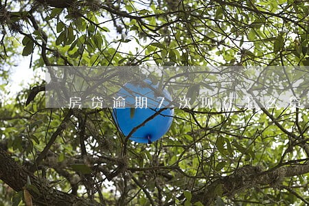 房贷逾期7次现在怎么贷款