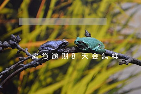 房贷逾期8天会怎样