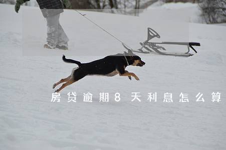 房贷逾期8天利息怎么算的 房贷逾期8天利息怎么算的