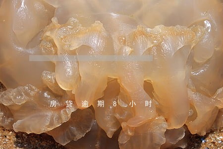 房贷逾期8小时 房贷逾期8小时