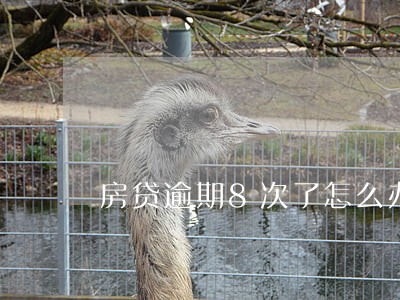 房贷逾期8次了怎么办 房贷逾期8次了怎么办