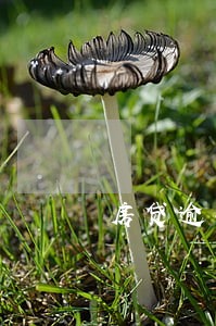 房贷逾期90天以上 房贷逾期90天以上