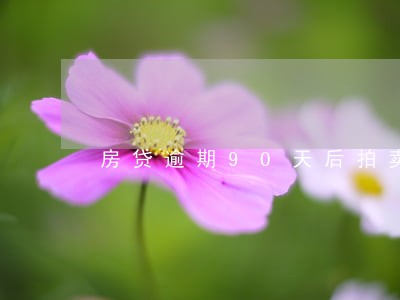 房贷逾期90天后拍卖 房贷逾期90天后拍卖