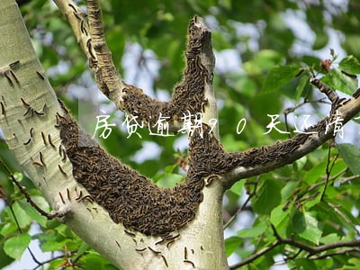 房贷逾期90天还清了 房贷逾期90天还清了