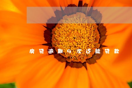 房贷逾期9次还能贷款 房贷逾期9次还能贷款