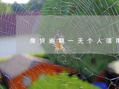 房贷逾期一天个人信用报告 房贷逾期一天个人信用报告