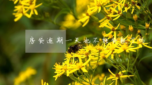 房贷逾期一天也不能贷款了吗 房贷逾期一天也不能贷款了吗
