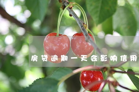 房贷逾期一天会影响信用卡 房贷逾期一天会影响信用卡