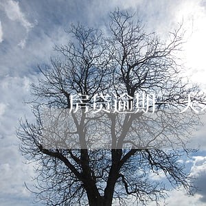 房贷逾期一天北京银行 房贷逾期一天北京银行