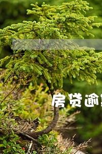 房贷逾期一天对信用有什么影响 房贷逾期一天对信用有什么影响