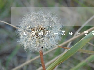 房贷逾期一天征信显示1 房贷逾期一天征信显示1