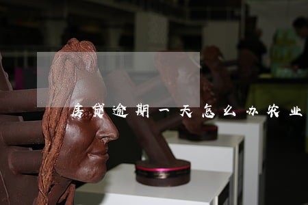 房贷逾期一天怎么办农业银行 房贷逾期一天怎么办农业银行