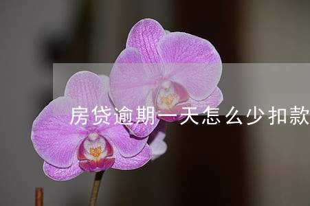 房贷逾期一天怎么少扣款100 房贷逾期一天怎么少扣款100