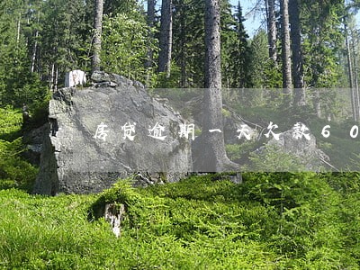 房贷逾期一天欠款600块 房贷逾期一天欠款600块