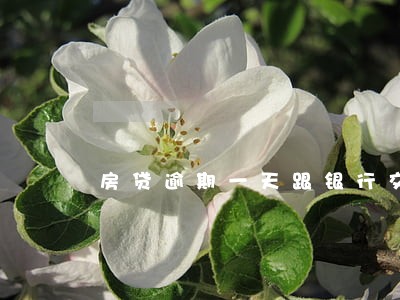 房贷逾期一天跟银行交涉 房贷逾期一天跟银行交涉