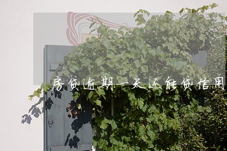 房贷逾期一天还能贷信用贷吗