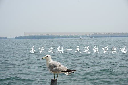 房贷逾期一天还能贷款吗 房贷逾期一天还能贷款吗