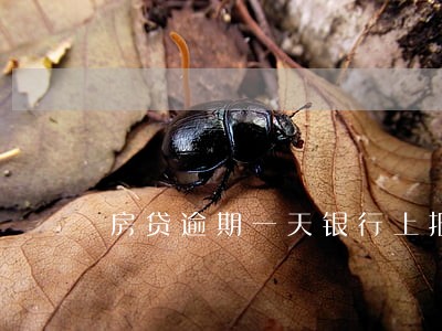 房贷逾期一天银行上报征信 房贷逾期一天银行上报征信