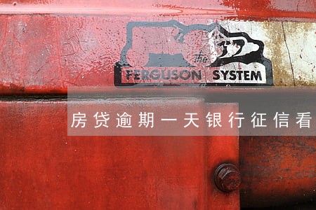 房贷逾期一天银行征信看不懂 房贷逾期一天银行征信看不懂