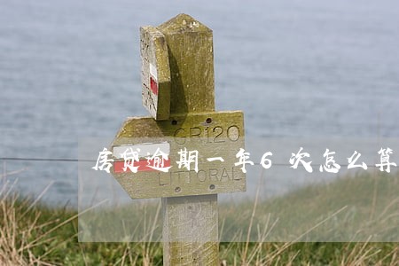 房贷逾期一年6次怎么算 房贷逾期一年6次怎么算