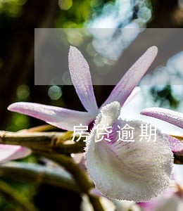 房贷逾期一年银行卡被冻结