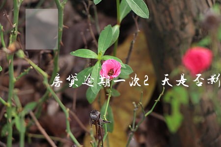房贷逾期一次2天是否影响信用