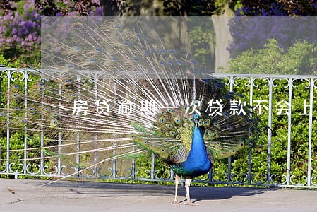 房贷逾期一次贷款不会上浮吧 房贷逾期一次贷款不会上浮吧