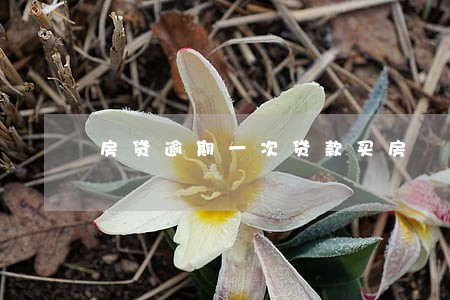房贷逾期一次贷款买房 房贷逾期一次贷款买房