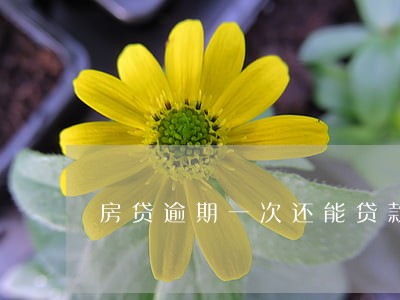房贷逾期一次还能贷款吗 房贷逾期一次还能贷款吗