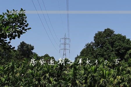 房贷逾期七年欠30万