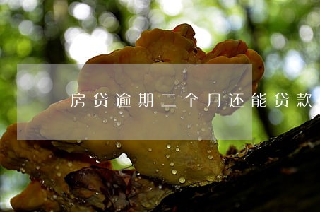 房贷逾期三个月还能贷款吗 房贷逾期三个月还能贷款吗
