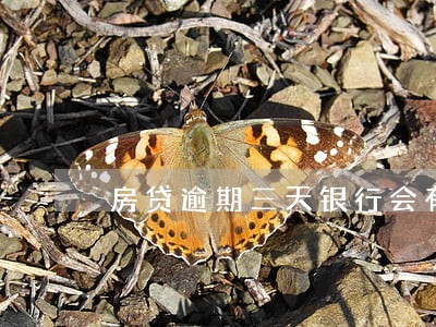 房贷逾期三天银行会有显示吗 房贷逾期三天银行会有显示吗