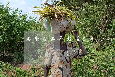 房贷逾期不超过24小时 房贷逾期不超过24小时