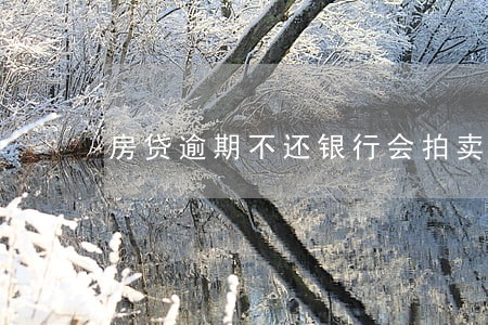 房贷逾期不还银行会拍卖房子吗 房贷逾期不还银行会拍卖房子吗