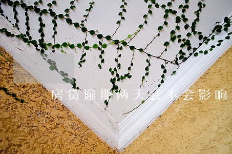 房贷逾期两天会不会影响信用 房贷逾期两天会不会影响信用