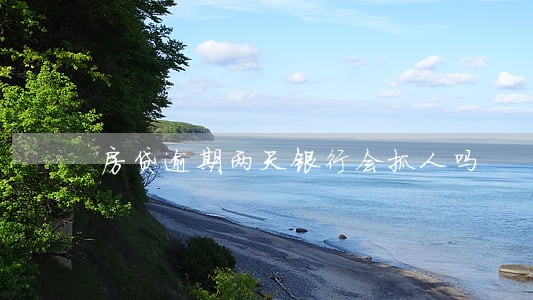 房贷逾期两天银行会抓人吗 房贷逾期两天银行会抓人吗