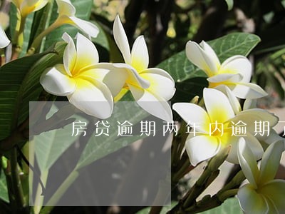 房贷逾期两年内逾期了6次 房贷逾期两年内逾期了6次