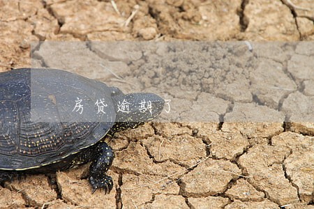 房贷逾期了