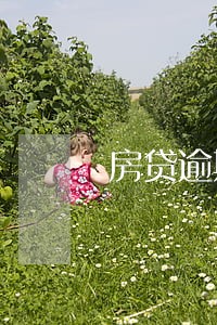 房贷逾期了10会产生多少罚息 房贷逾期了10会产生多少罚息