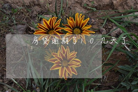 房贷逾期了10几天了 房贷逾期了10几天了