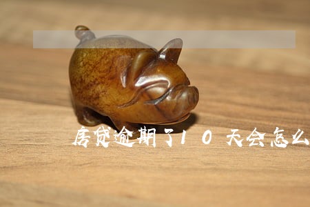 房贷逾期了10天会怎么样 房贷逾期了10天会怎么样