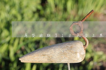 房贷逾期了20天会上黑名单吗 房贷逾期了20天会上黑名单吗