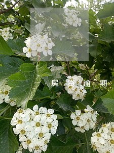 房贷逾期了4天怎么处理 房贷逾期了4天怎么处理