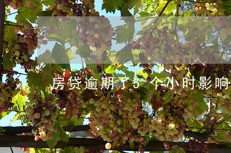 房贷逾期了5个小时影响 房贷逾期了5个小时影响